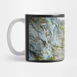 Rocky trail on mountains Mug